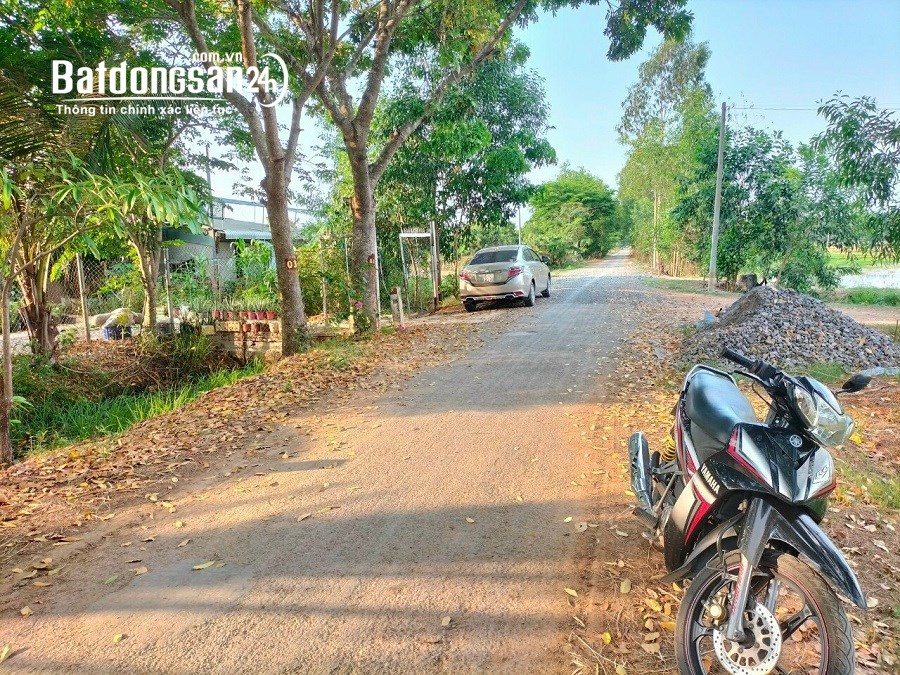 Bán đất 1000m2, giá 3,6 tỷ, đường lộ giới 12m, Đ. Bưng Tràm, Xã Tân An Hội (H Củ Chi cũ).