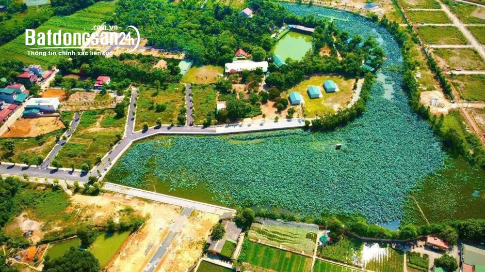 Bán đất 100m2, giá 4.3 tỷ, Hồ Sen Lotus, Đường 21, Xã Hòa Lạc (H Thạch Thất cũ)