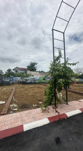 Đất Đẹp Gần Hoà Lạc/ Quốc Oai – Full TC – Ô Tô Tránh – Tiềm Năng Tăng Giá Cao.