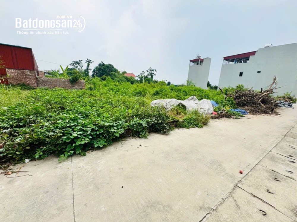 Cần bán 60m2 đất thôn Ấp Tre - Quang Minh - Hà Nội, giá 3x tỷ, sẵn giao dịch.
