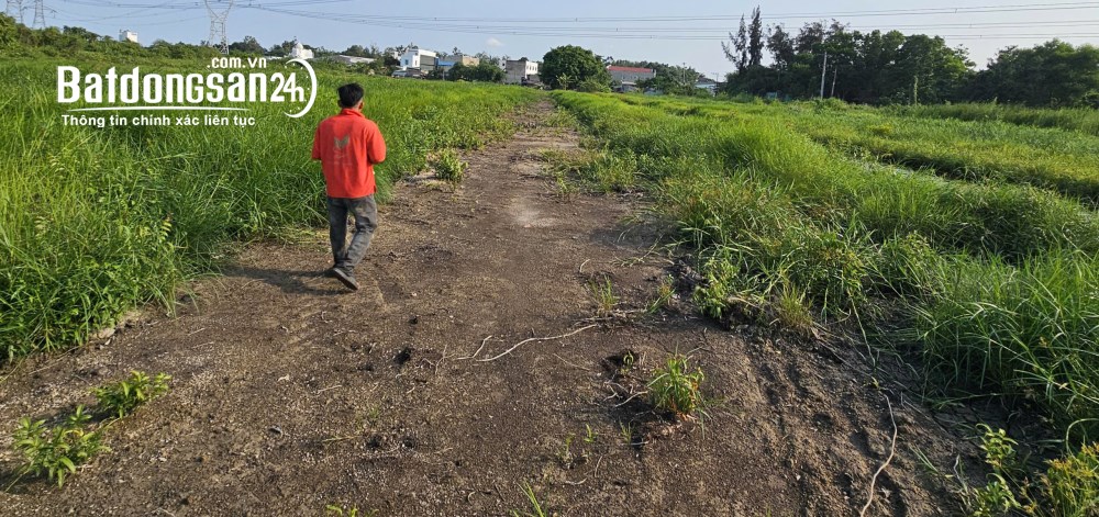 Cho thuê mặt bằng 10000m2, Đ. Trần Văn Giàu, Xã Vĩnh Lộc (H Bình Chánh cũ).