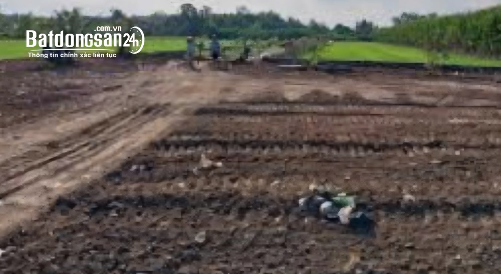 Cho thuê mặt bằng 10000m2, Đ. Trần Văn Giàu, Xã Vĩnh Lộc (H Bình Chánh cũ).