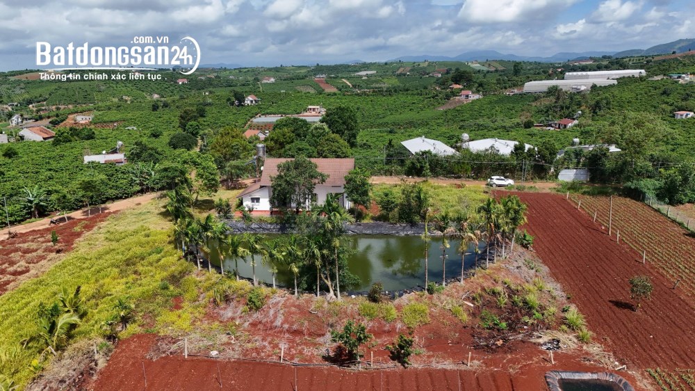 Bán đất 2.298m2, giá 3.7 tỷ, Đường Tỉnh lộ 725, Xã Nam Ban Lâm Hà, Lâm Đồng