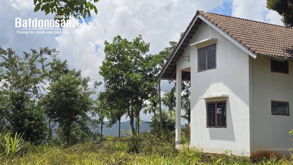 Bán đất 2.298m2, giá 3.7 tỷ, Đường Tỉnh lộ 725, Xã Nam Ban Lâm Hà, Lâm Đồng