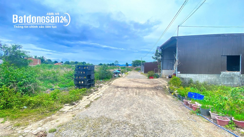Bán đất Đường ĐT 724, Xã Đức Trọng, Tỉnh Lâm Đồng