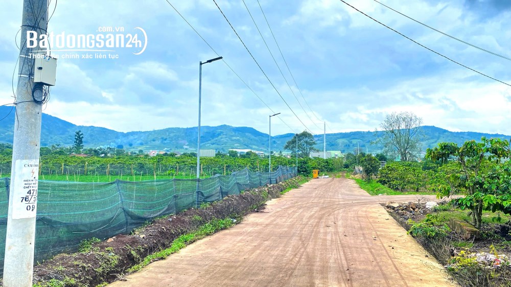 Bán đất 6500m2, có 2500m2 TC, giá 3,3 triệu/1m2, QL 27, Xã Hiệp Thạnh, Lâm Đồng.
