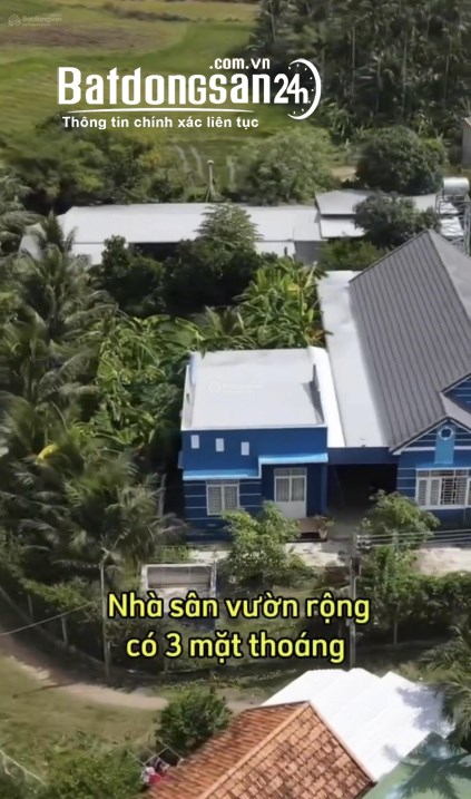 Nhà Vườn 1.632m², Ninh Hòa/Khánh Hòa, 3 Thoáng, 3 Nhà Riêng Biệt, Phù Hợp Nghỉ Dưỡng Và KD.