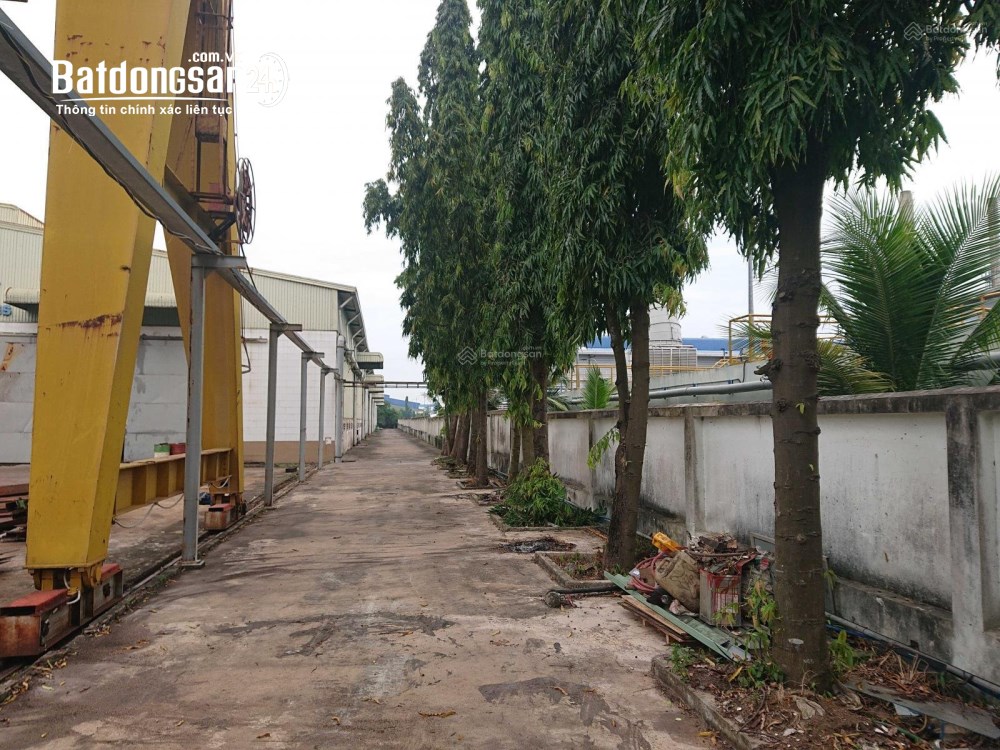 Cho Thuê Nhà Xưởng Sản Xuất Cơ Khí Tại Nhơn Trạch, Đồng Nai – Quy Mô 24.561m².