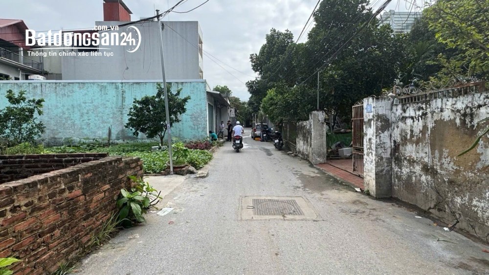 Bán Đất Chi Đông – Mê Linh -  80m² Vuông Đẹp - nở hậu – Ô Tô Vào Tận Đất.