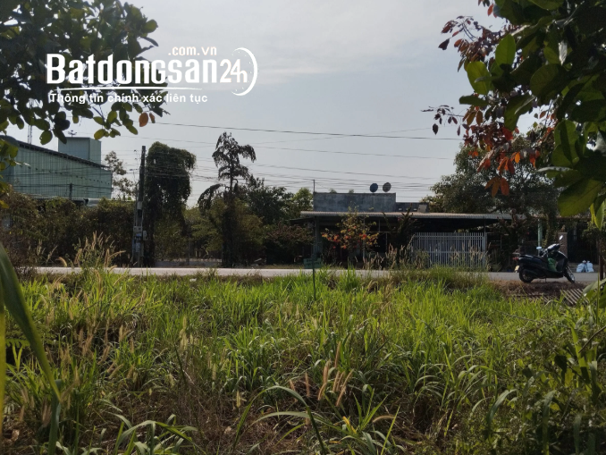 Bán đất mặt tiền ĐT749A Dầu Tiếng 925m2, ngang 10m tiện làm nhà xưởng, giá 2.05 tỷ.