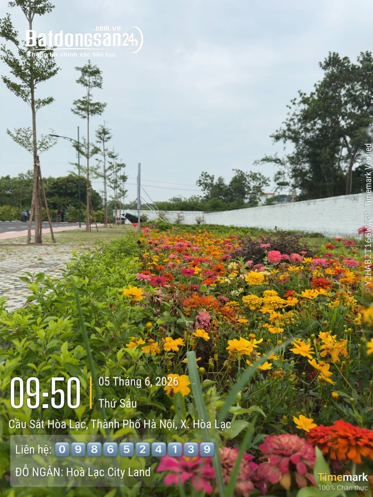 Bán đất trục chính kinh doanh Hòa Lạc 100m2 mặt tiền 8m gần chợ, giá nhỉnh 4 tỷ.