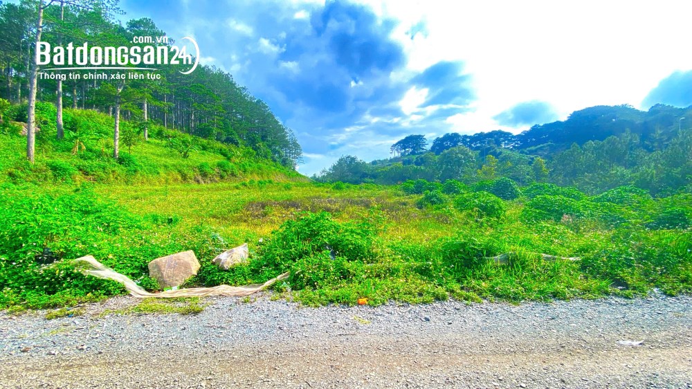 4.800m2 mặt tiền cao tốc Hiệp Thạnh, Đức Trọng, sẵn 2.800m2 thổ cư và homestay, giá 40 tỷ.