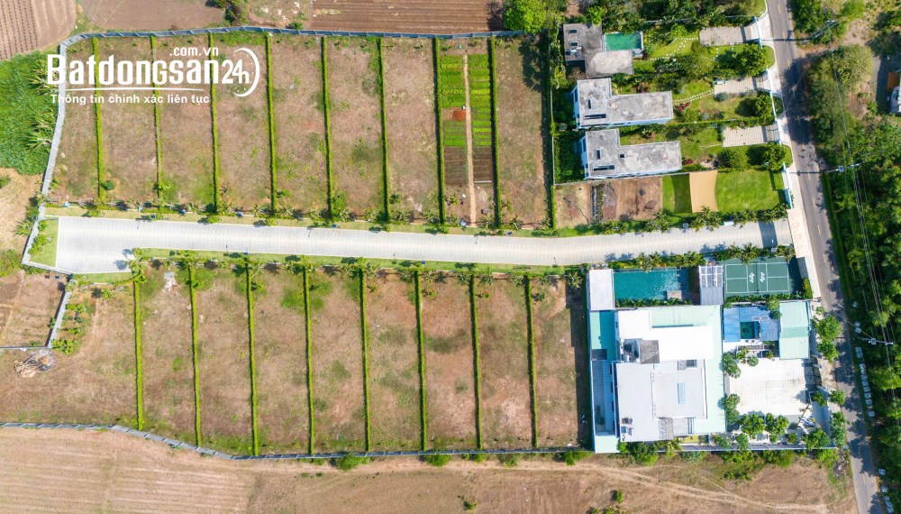Đất biệt thự Đất Đỏ gần biển Phước Hải, 457m² - 768m², giá 6 triệu/m², SHR, công chứng ngay.