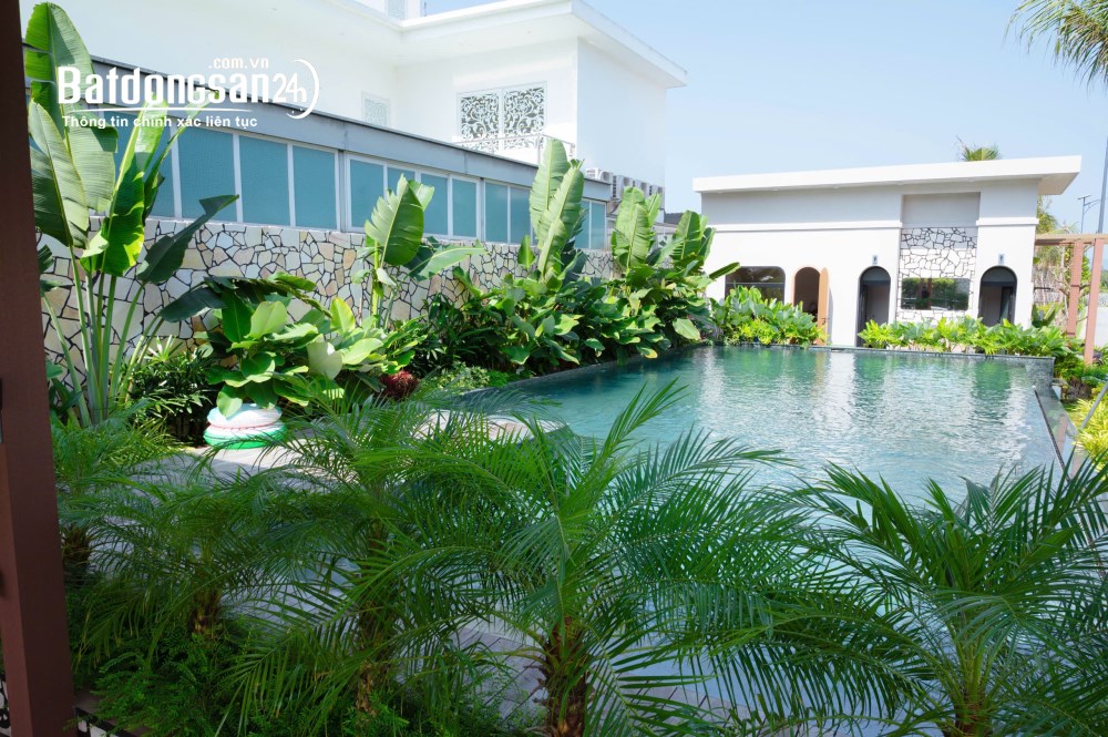 Đất biệt thự Đất Đỏ gần biển Phước Hải, 457m² - 768m², giá 6 triệu/m², SHR, công chứng ngay.