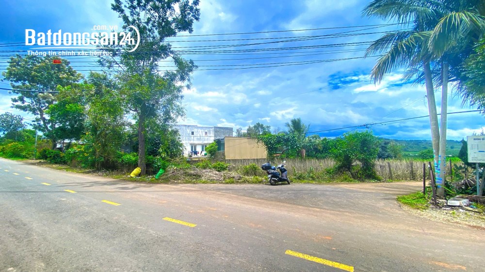 Tổng 3,9 sào - 2 mặt tiền nhựa chính tân thành, đức trọng cũ, lâm đồng