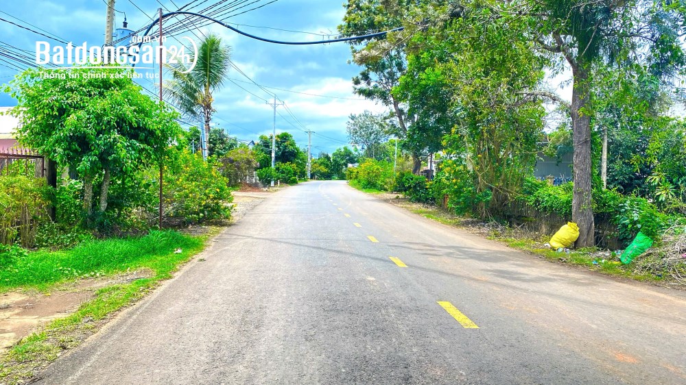 Tổng 3,9 sào - 2 mặt tiền nhựa chính tân thành, đức trọng cũ, lâm đồng