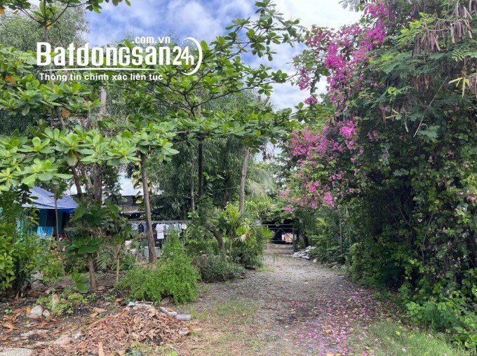 Quỹ Đất 2.109m2 An Phú – TP. Thủ Đức – Ngang 22m – Giá 190 Tỷ.