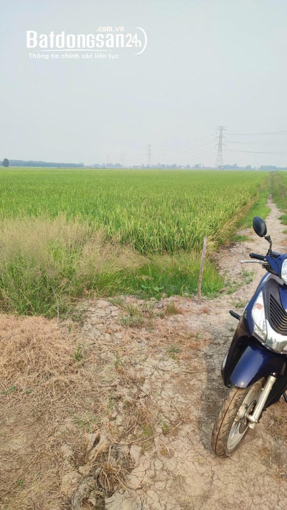 Bán đại quỹ đất 4.4 Hécta tại Tân Thạnh, Long An – Có sẵn 6.000m² thổ cư, ô tô tới đất, giá 15 tỷ.