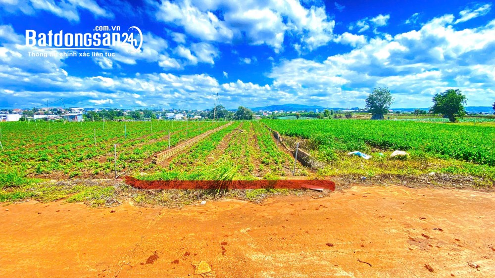 Bán đất thổ cư giá cực tốt tại xã Liên Hiệp, Đức Trọng, Lâm Đồng – 162m² chỉ 870 triệu.