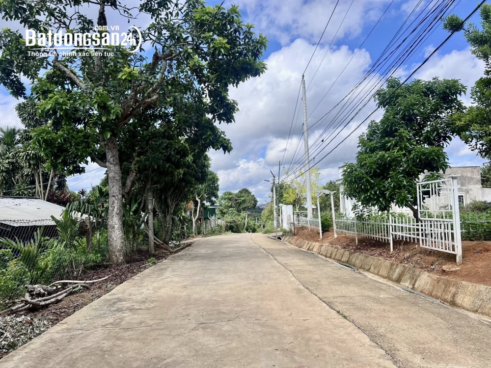 Bán đất thổ cư mặt tiền TL 725, xã Nam Ban Lâm Hà, Lâm Đồng – 540m² đất nhà vườn nghỉ dưỡng.