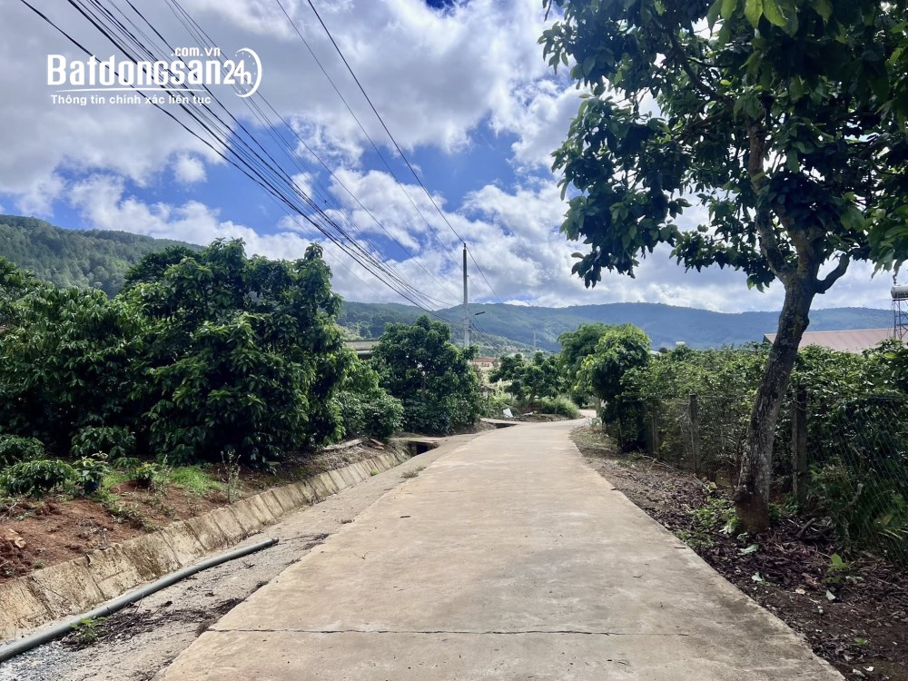 Bán đất thổ cư mặt tiền TL 725, xã Nam Ban Lâm Hà, Lâm Đồng – 540m² đất nhà vườn nghỉ dưỡng.