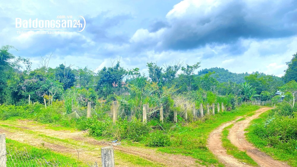 Bán đất 1.1 ha tại sông Pré, Phú Hội, Đức Trọng, Lâm Đồng – Giá 8 tỷ.