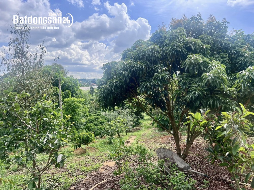Bán đất 4.800m², 800m² thổ cư, Tỉnh lộ 725, Nam Ban, Lâm Hà, Lâm Đồng.