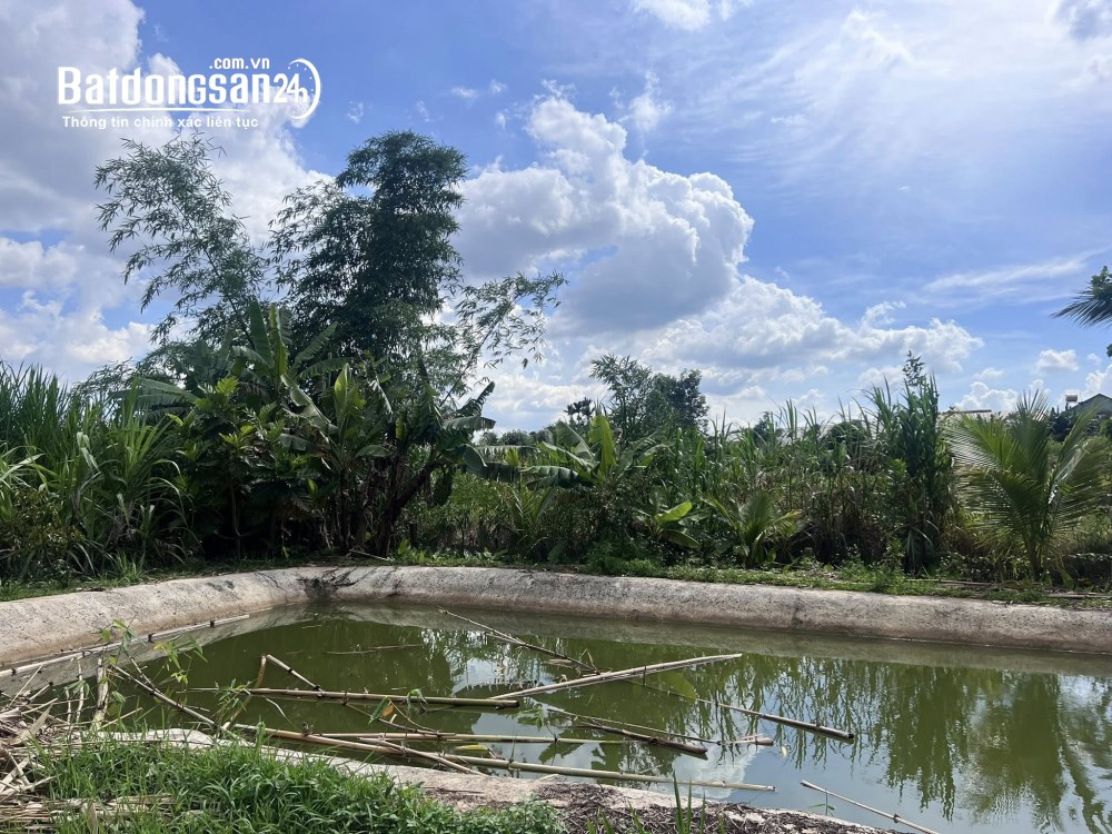 Bán đất 4.800m², 800m² thổ cư, Tỉnh lộ 725, Nam Ban, Lâm Hà, Lâm Đồng.