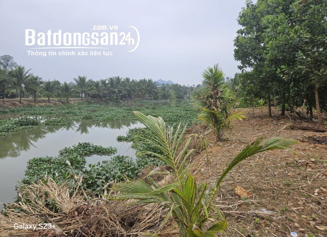 Bán đất nhà vườn 900m², Việt Khê, Thủy Nguyên, Hải Phòng, giá 2,7 tỷ, phong thủy tốt.
