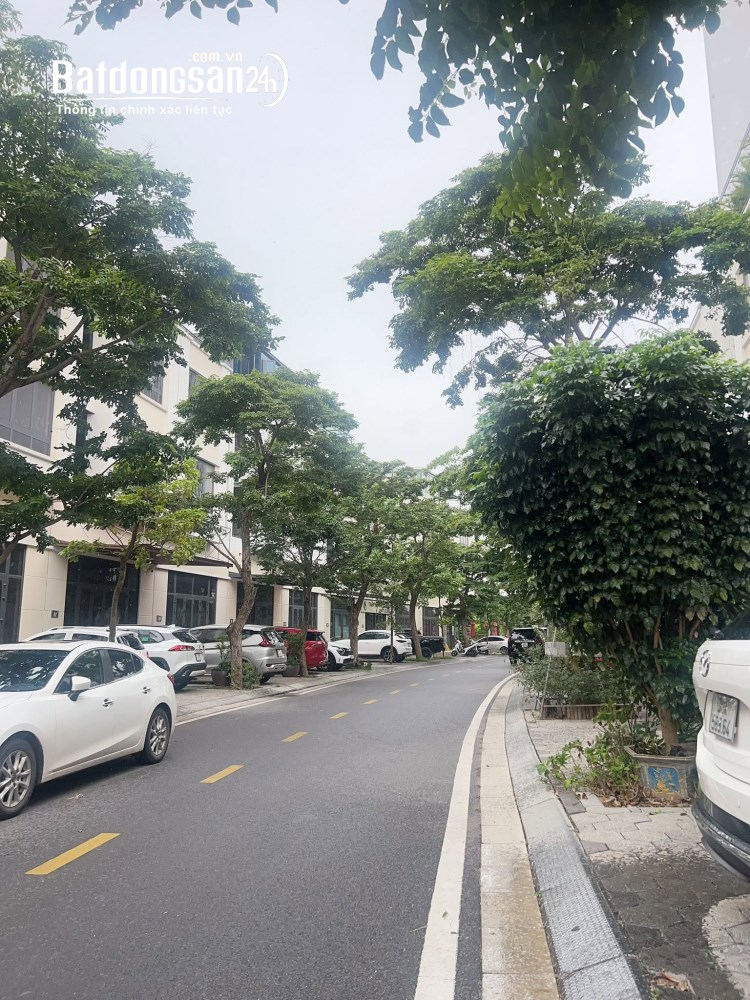 Bán nhà mặt phố Bùi Viện, Ecopark Hải Dương - 125,88m² - Giá 12,x tỷ.
