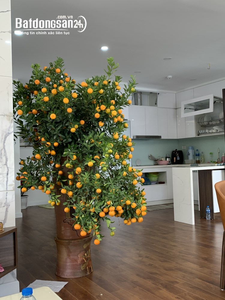 Sở hữu căn hộ 3PN An Bình City - Vị trí vàng, tiện ích đỉnh - Chỉ 8 tỷ.