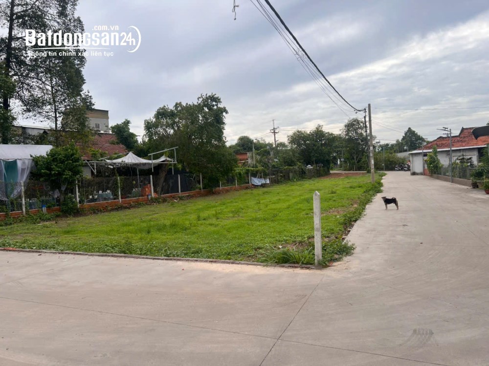 Bán 6 lô đất đẹp gần chợ Hoa Viên, đường Nguyễn Văn Khạ, Tân An Hội, Củ Chi,