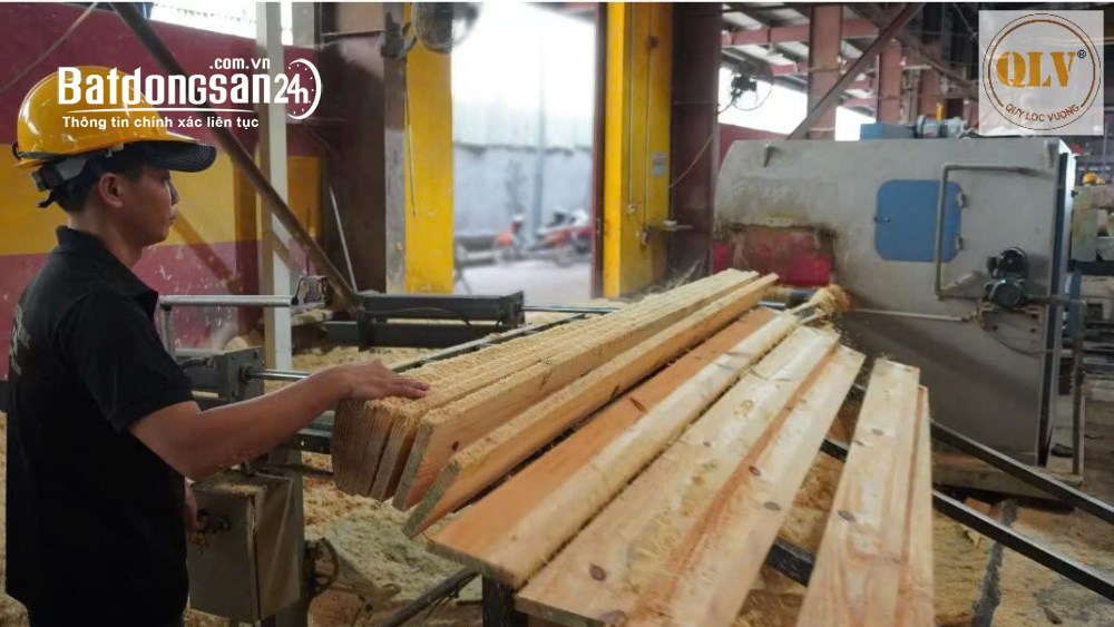 Bán nhà xưởng chế biến gỗ tại Hóc Môn, TP.HCM - Tổng diện tích 14.756m2.