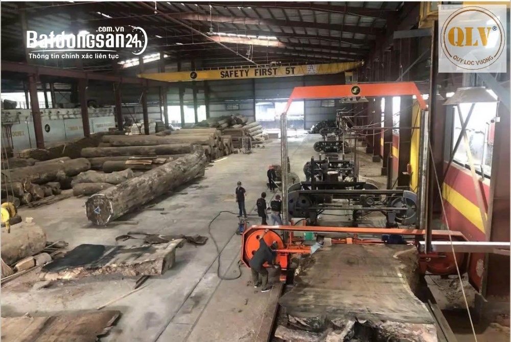 Bán nhà xưởng chế biến gỗ tại Hóc Môn, TP.HCM - Tổng diện tích 14.756m2.
