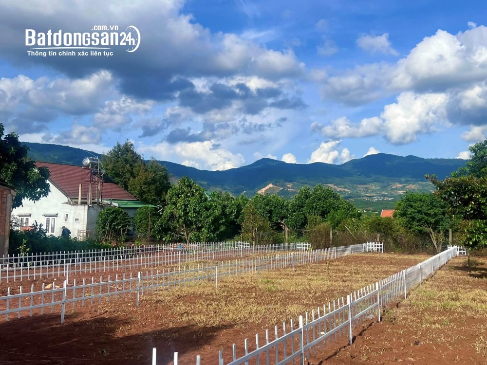 Bán đất đường tỉnh lộ 725, xã Nam Ban, Lâm Hà, Lâm Đồng – diện tích 144m2, có 100m2 thổ cư.