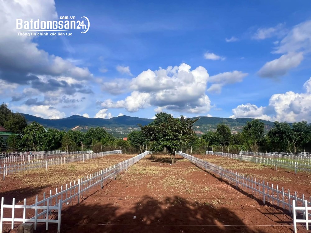 Bán đất đường tỉnh lộ 725, xã Nam Ban, Lâm Hà, Lâm Đồng – diện tích 144m2, có 100m2 thổ cư.
