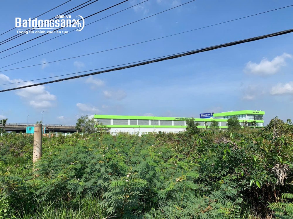 Bán đất diện tích lớn 3.000m² tại phường Long Trường, TP. Thủ Đức – Vị trí tiềm năng gần cao tốc.