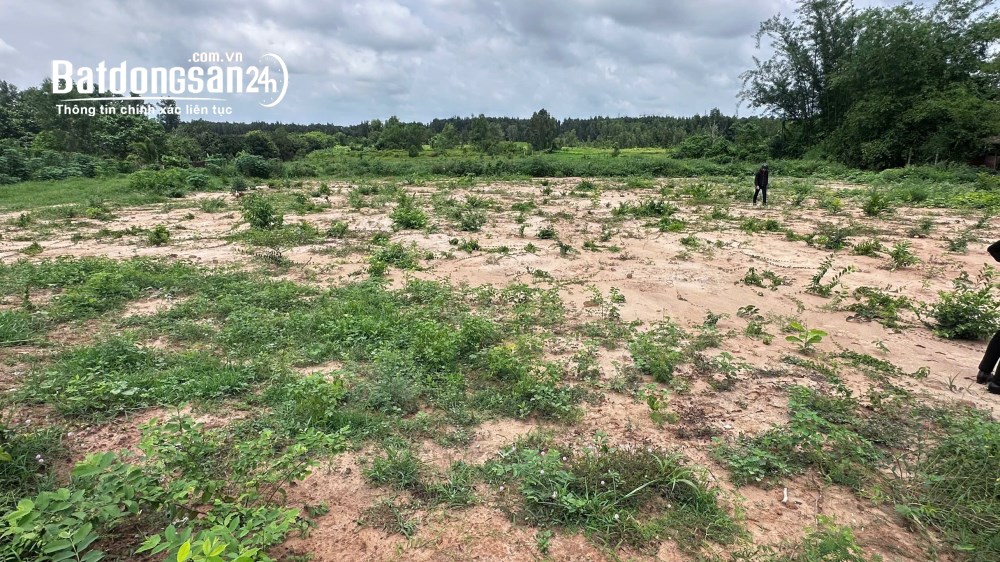 Bán đất vườn diện tích 800m² tại đường Cây Trôm, xã Thái Mỹ, huyện Củ Chi, TP. Hồ Chí Minh.