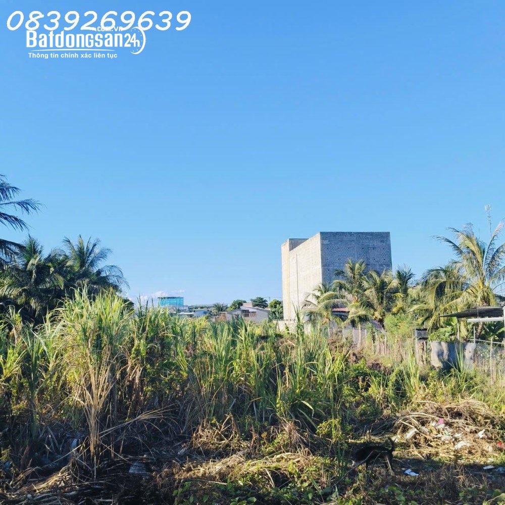 Bán đất nông nghiệp khu vực Đạo Long, TP. Phan Rang – Tháp Chàm: Diện tích 1.033m2, giá 1,7 tỷ.