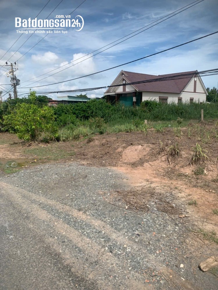Bán đất mặt tiền xã Phú Tân, Tân Phú Đông, Tiền Giang: 328,3m², cách KDL Làng Yến 100m.