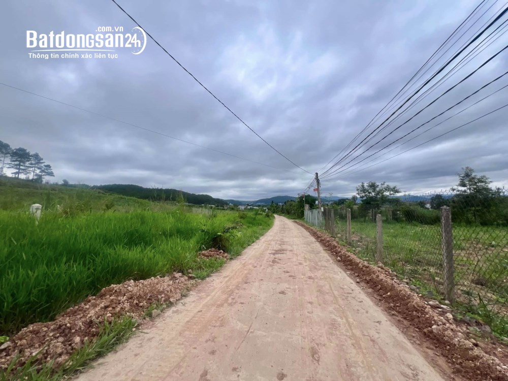 Cơ hội đầu tư bất động sản tại Nam Ban - Lâm Hà - Lâm Đồng, 335m², thổ cư cao - vị trí đắc địa.