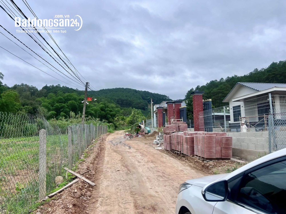Cơ hội đầu tư bất động sản tại Nam Ban - Lâm Hà - Lâm Đồng, 335m², thổ cư cao - vị trí đắc địa.