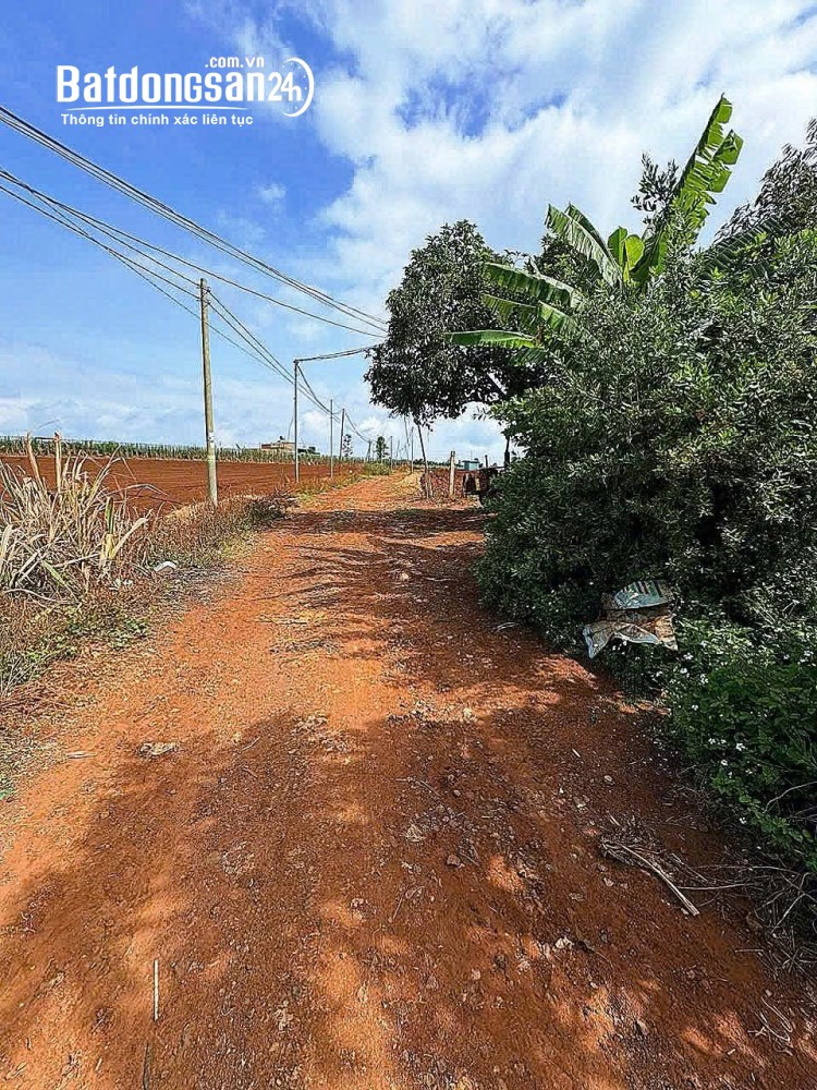 Bán 2 hecta đất tại Đức Trọng, Lâm Đồng - Giá 700 triệu/sào - 2 mặt hẻm, gần cao tốc.