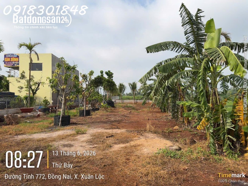 Bán 1.230m² đất mặt tiền Tỉnh lộ 772, Xuân Lộc – Vị trí chiến lược, tiềm năng du lịch cực lớn.