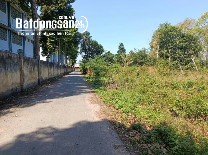 Hàng "ngộp" giá rẻ – Lô đất 3.426m2 tại An Linh, Phú Giáo, Bình Dương.