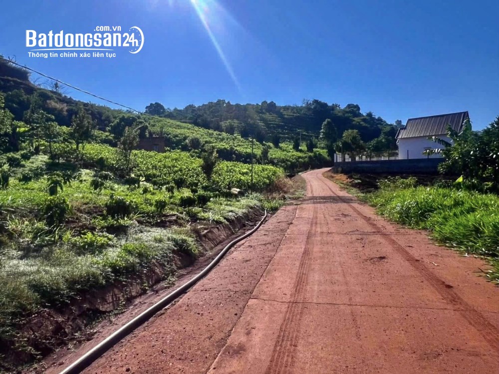 Bán đất vườn Nam Ban, Lâm Đồng, 5.900m2, mặt tiền rộng, tiềm năng nghỉ dưỡng.