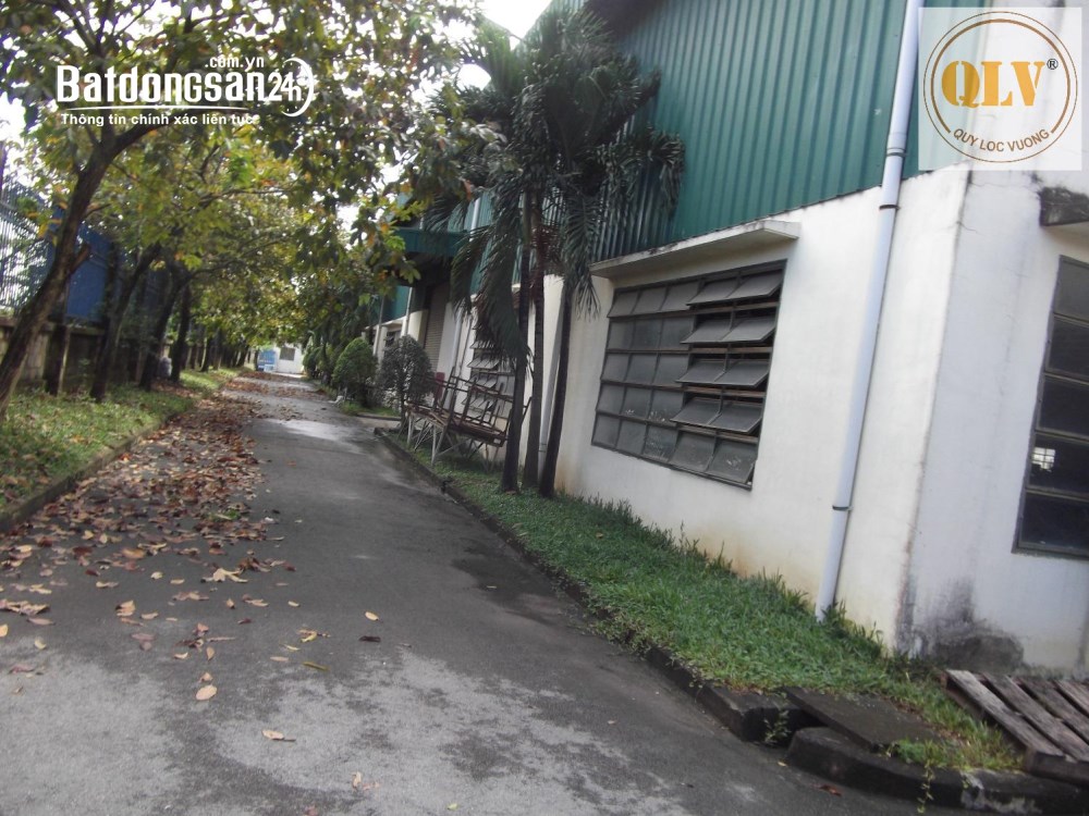 Bán nhà xưởng 26.561m² tại Vĩnh Cửu, Đồng Nai – vị trí gần CCN Thạnh Phú.