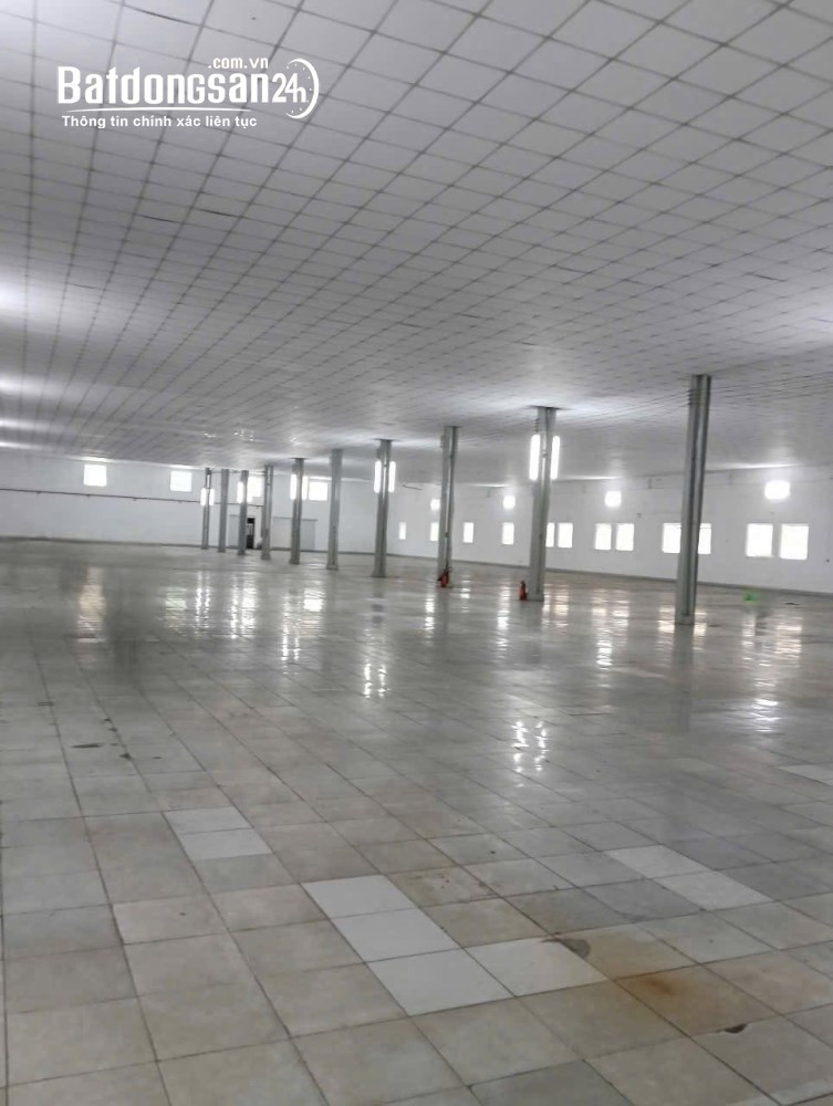 Cho thuê kho xưởng 1.700m² tại Phan Huy Ích, Tân Bình – giá tốt.