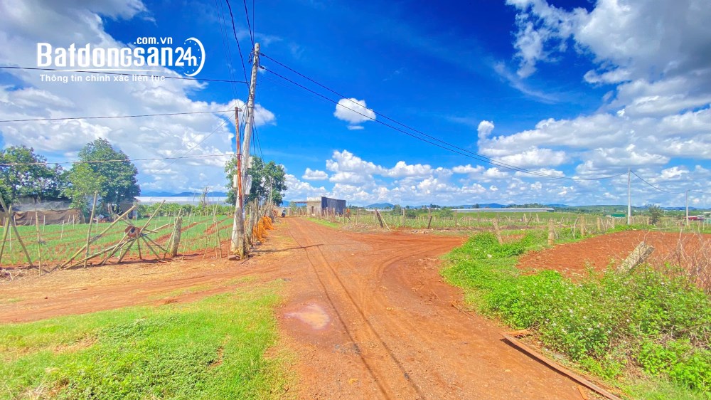 Bán lô đất diện tích 11.000m2 tại xã Tân Hội, Đức Trọng, Lâm Đồng – đất 2 mặt tiền hẻm.