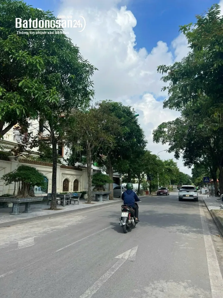 Cơ hội đầu tư biệt thự Trường An, TP Hải Phòng – 250m² mặt đường lớn – Đất đẹp, pháp lý sạch.